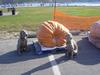 Pumpkin Guard Dogs