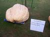 Iowa State fair Exhibition