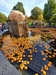 NYBG Pumpkins on display