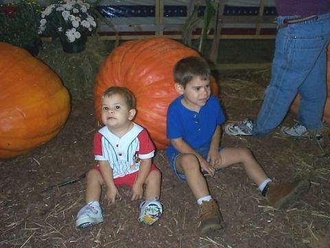 At the Fair