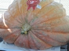 2nd Place Elk Grove Giant Pumpkin Festival 