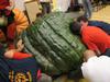 The new european record squash : 1040lbs