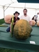 268 Baggs Field Pumpkin WR