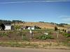 Spokanes finest commercial pumpkin grower.