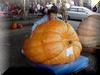 G. Emmons with her 1262 lb pumpkin