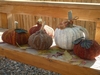 Hooked Pumpkins