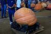 2002 Topsfield Fair - #60 - 486.2 lbs by Joe Post