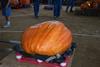 2002 Topsfield Fair - #71 - 346.8 lbs by Glen Gehly