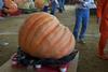 2002 Topsfield Fair - #61 - 475.4 lbs by Maurice Steiblin