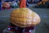 2002 Topsfield Fair - #43 - 597.4 lbs by Robert R. Bradley