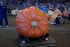 2002 Topsfield Fair - #6 - 953.0 lbs by Don Langevin