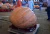 2002 Topsfield Fair - #18 - 794.0 lbs by Matthew Pollack