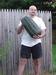 giant marrow 