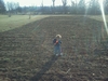 Colton and Pumpkin Patch