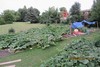 City Farmer